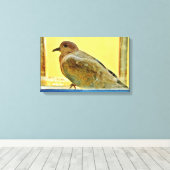 Toile Colombe au repos (Insitu (Plancher de Bois))