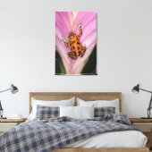 Toile Colon Isle Dart Frog, Oophaga pumilio (Insitu(Chambre))