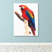 Toile Colored Parrot (Insitu (Plancher de Bois))