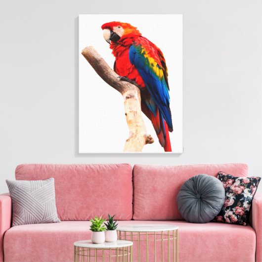 Toile Colored Parrot (Insitu(Salon))