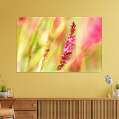 Toile coloris (Insitu(Salon))