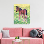 Toile Colt dans le champ de Dandelion (Insitu(Salon))