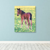 Toile Colt dans le champ de Dandelion (Insitu (Plancher de Bois))