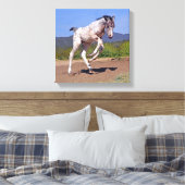 Toile Colt Knabstrupper (Insitu(Chambre))