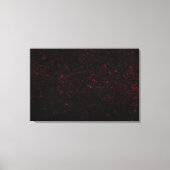 Toile Comète P : Shoemaker-Levy 9 (Recto)