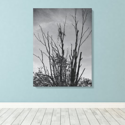 Toile Comme Ashes de Phoenix (Insitu (Plancher de Bois))