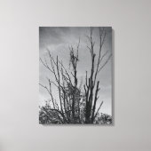 Toile Comme Ashes de Phoenix (Recto)