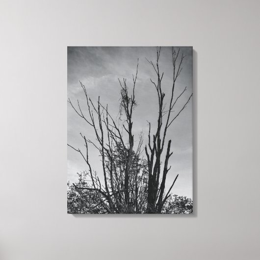 Toile Comme Ashes de Phoenix (Recto)