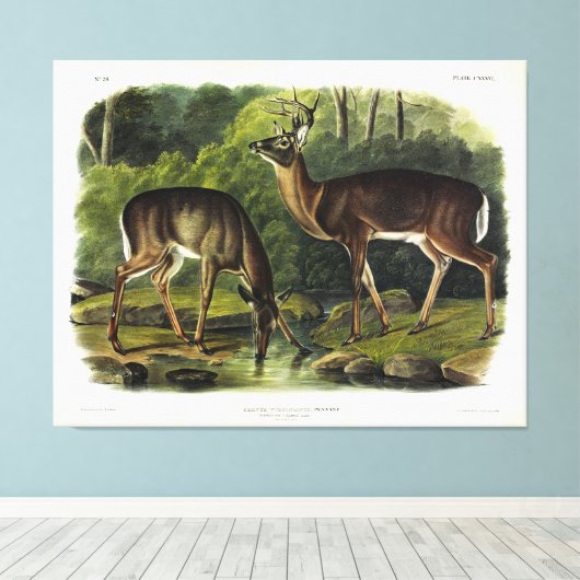 Toile Common Deer (Insitu (Plancher de Bois))