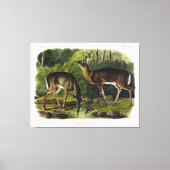 Toile Common Deer (Recto)