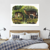 Toile Common Deer (Insitu(Chambre))