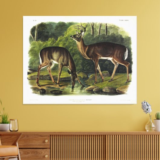 Toile Common Deer (Insitu(Salon))