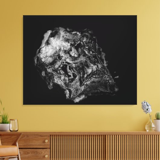 Toile Complexité / Crâne surréaliste (Insitu(Salon))