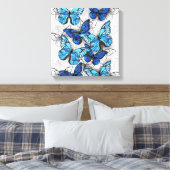 Toile Composition des White and Blue Butterflies (Insitu(Chambre))