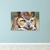 Toile Comté de Kendall, Texas. Grand-duc d'Amérique (Insitu (Plancher de Bois))