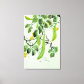 Toile Concombre Chinois (Recto)