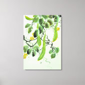 Toile Concombre chinois (Recto)