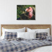 Toile Condor de Californie (Insitu(Chambre))