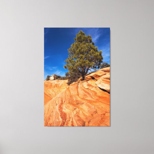 Toile Conifer Red Rock (Recto)