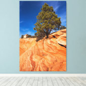 Toile Conifer Red Rock (Insitu (Plancher de Bois))