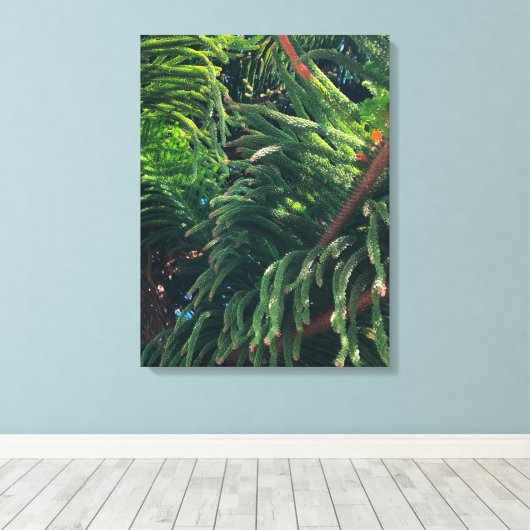 Toile conifère à feuillage persistant de pin (Insitu (Plancher de Bois))