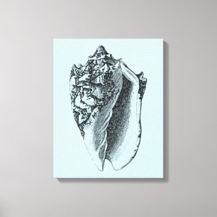 Toile Conque Shell d'Aqua