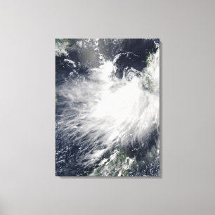 Toile Conson de tempête tropicale
