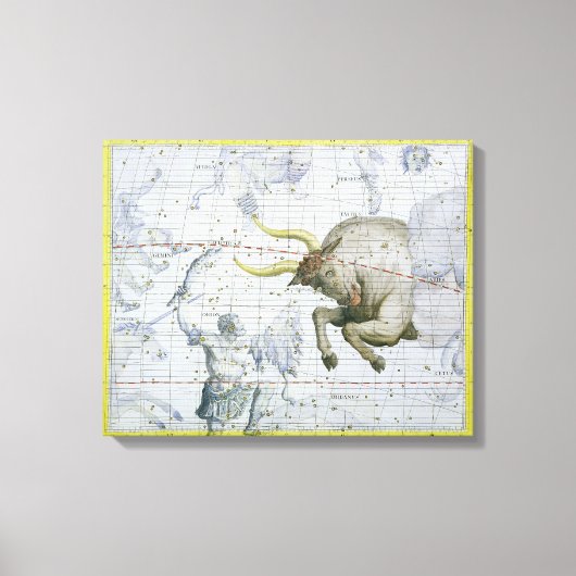 Toile Constellation de Taurus, plaque 2 de 'Atlas Coele (Recto)