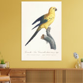 Toile Conure soleil ou Aratinga solstitialis (Insitu(Salon))