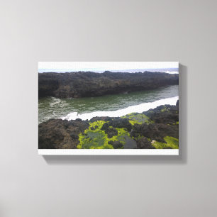 Toile Cook's Chasm, cap Perpetua, Oregon