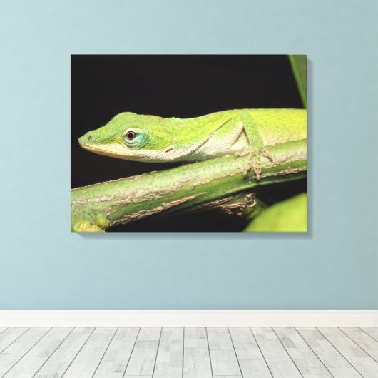Toile Cool mignon Adorable Amusant Vert Anole Lizard Ani (Insitu (Plancher de Bois))