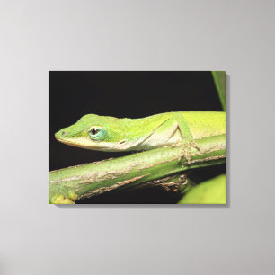Toile Cool mignon Adorable Amusant Vert Anole Lizard Ani