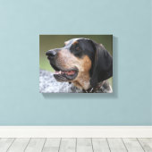 Toile Coonhound (Insitu (Plancher de Bois))