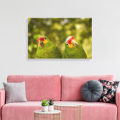 Toile Copan, Honduras (Insitu(Salon))