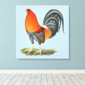 Toile Coq bleu rouge Gamecock (Insitu (Plancher de Bois))