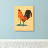 Toile Coq de combat Ginger Rouge (Insitu (Plancher de Bois))