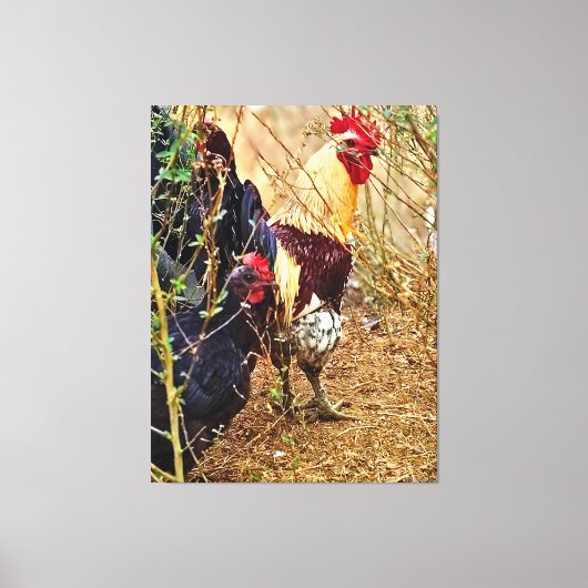 Toile Coq et Poule dans un Fourré (Recto)