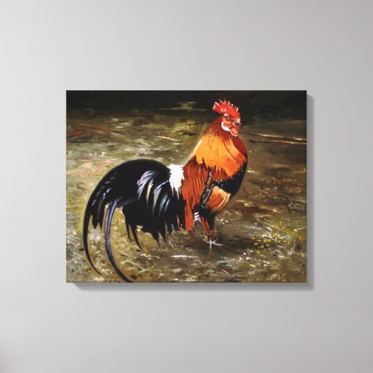 Toile Coq/Gaulois/Rooster (Recto)