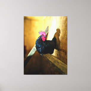 Toile Coq perché dans une grange