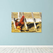 Toile Coq Rhode Island Red (Insitu (Plancher de Bois))
