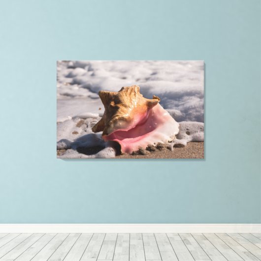 Toile Coque conique rose (Insitu (Plancher de Bois))