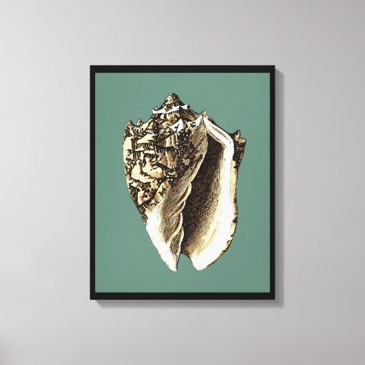 Toile Coque conique turquoise (Recto)