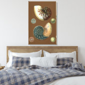 Toile Coque de cacao (Insitu(Chambre))