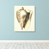 Toile Coque vintage Sepia Conch (Insitu (Plancher de Bois))