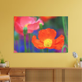 Toile Coquelicot Rouge (Insitu(Salon))