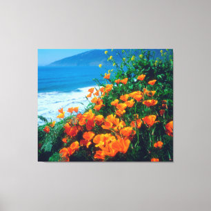Toile Coquelicots le long de la côte Pacifique près de B