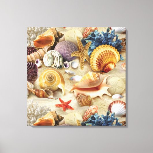 Toile Coques de mer sur la plage (Recto)