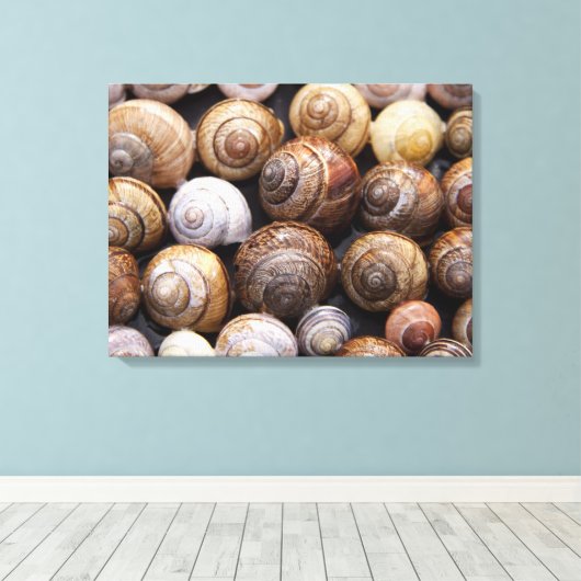 Toile Coques des escargots (Insitu (Plancher de Bois))