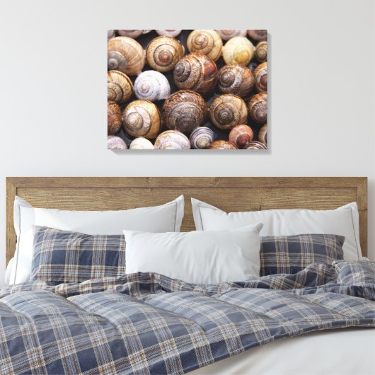 Toile Coques des escargots (Insitu(Chambre))