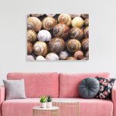 Toile Coques des escargots (Insitu(Salon))